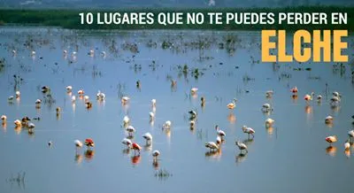 10 lugares que no te puedes perder en Elche