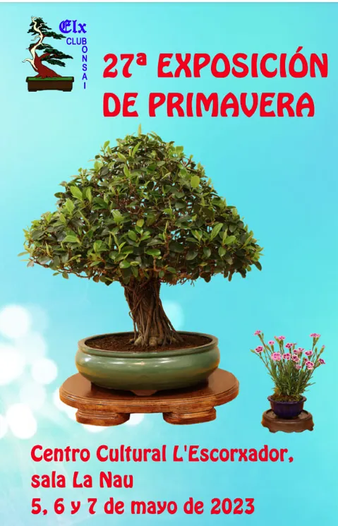 27º Exposición de Primavera Asociación Elx Club Bonsai