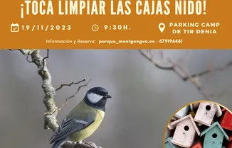 Actividad familiar de limpieza de cajas nido