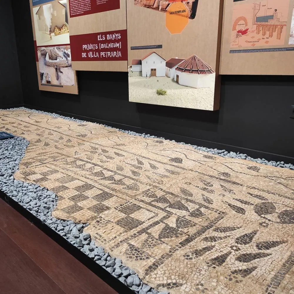 Actividades en torno a la exposición "La huella de Petrer en Roma"
