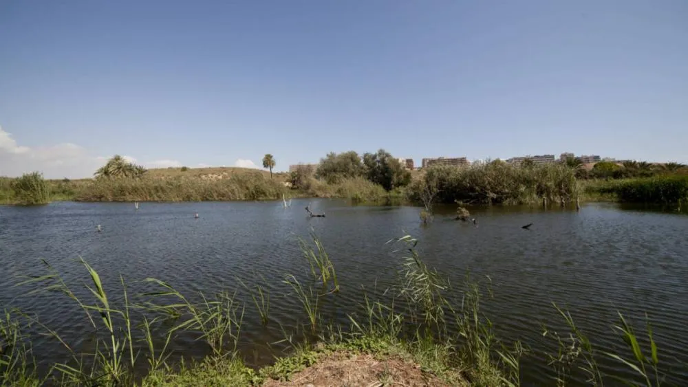 Actividades para conocer el ciclo natural del agua y un taller teórico-práctico de fauna de.Clot de Galvany