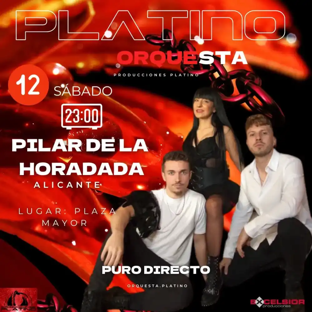 Actuación Musical de la Orquesta "Orquesta Platino"