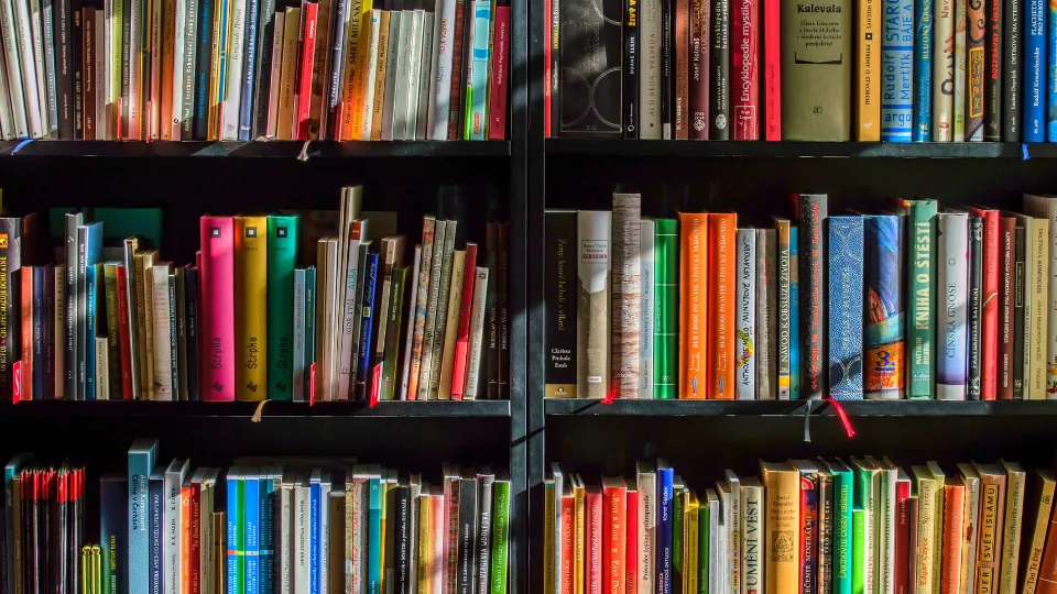 Agenda cultural junio 2025 Bibliotecas Santa Pola
