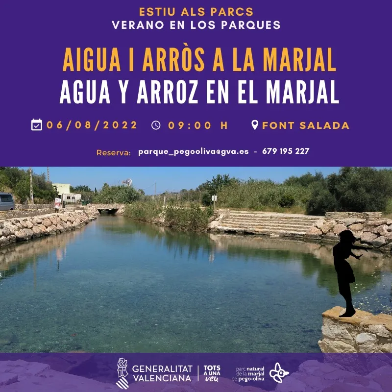 Agua y arroz en el Marjal