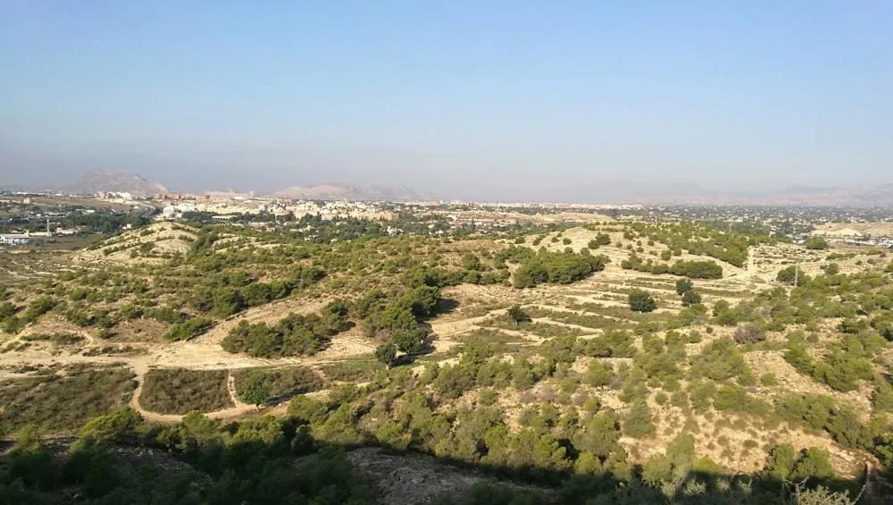 Alicante Renace, la restauración ecológica del monte Orgegia