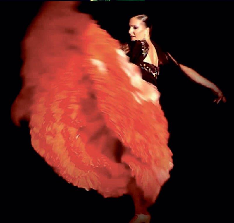 Alma Galea - Cuadro Flamenco