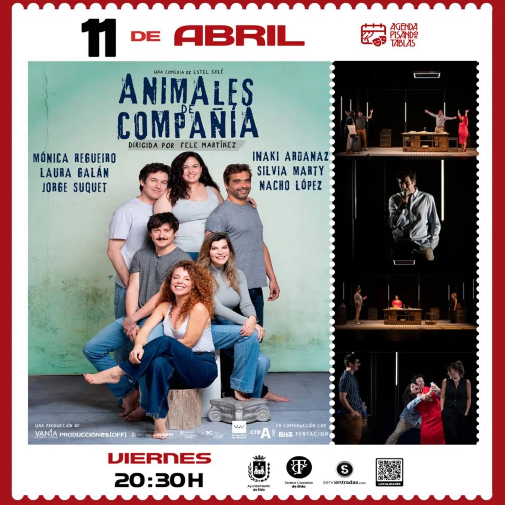 Animales de compañía