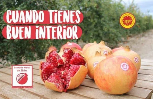 Aplicaciones Culinarias de la "Granada Mollar"