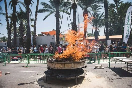 Arroz con costra y paella gigante en Elche - Concurso arroz con costra