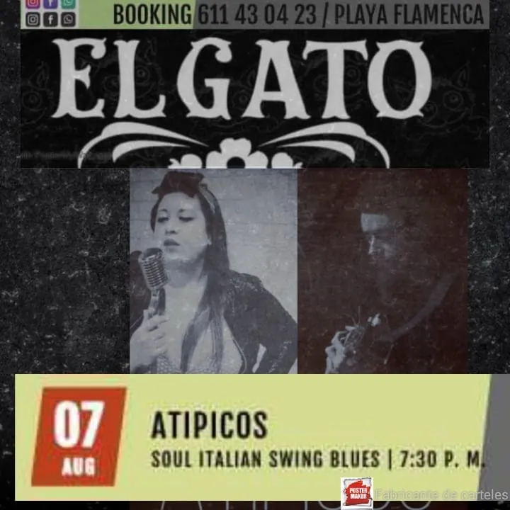 ATIPICOS en el Gato !!