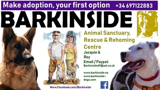 Barkinside Valentines Fundraising Lunch
