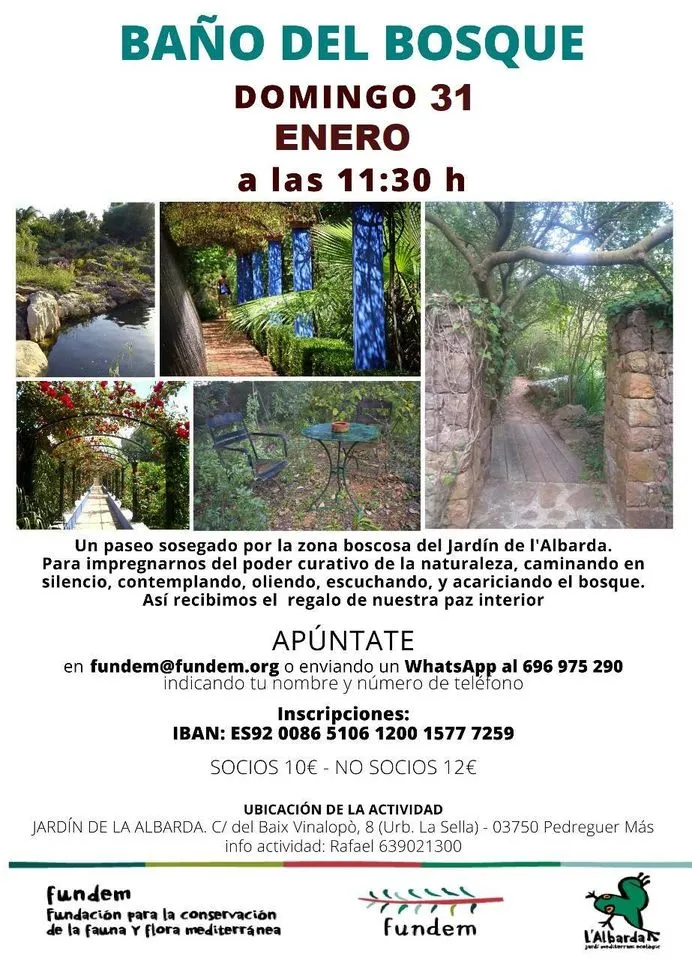 Baño del Bosque