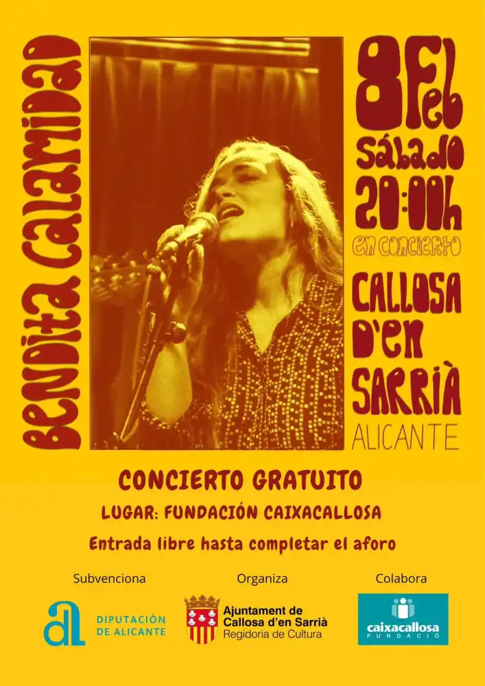 Bendita Calamidad en concierto