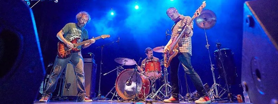 Bluenáticos en concierto