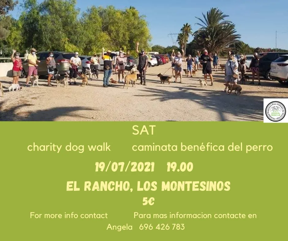 Caminata del perro / Charity dog walk