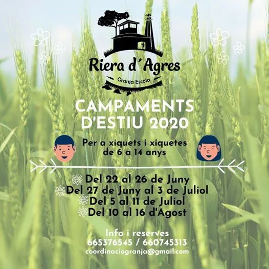 Campamento de Verano en Agres 2020
