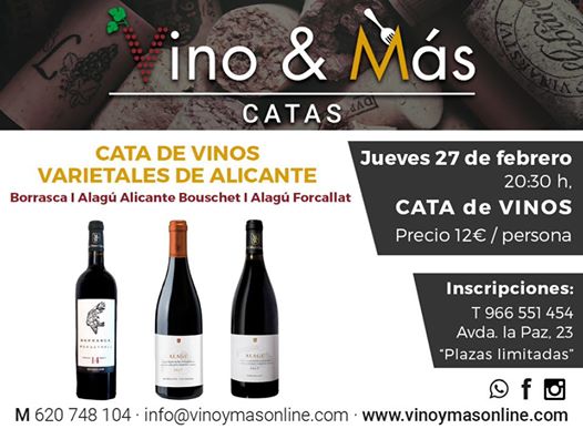 Cata de Vinos - Variedades de Alicante