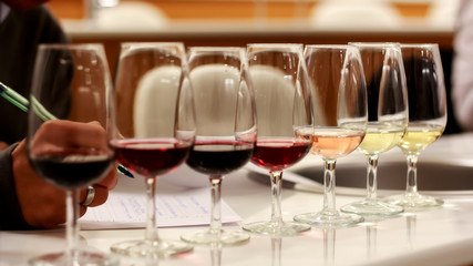 Cata de Vinos - Wine Tasting