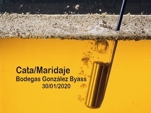 Cata-Maridaje Bodegas González Byass
