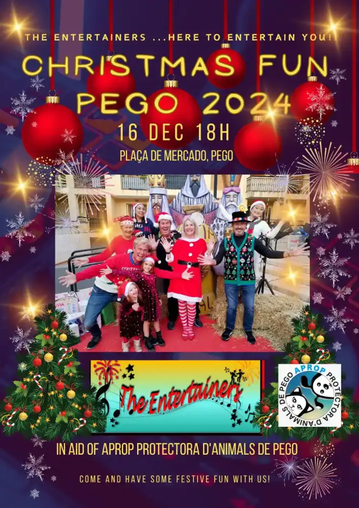 Christmas Fun Pego 2024