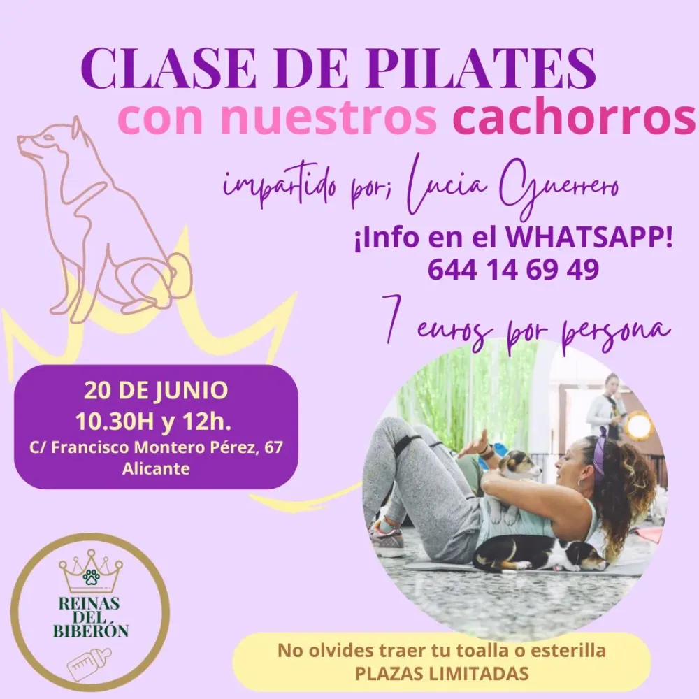 Clase de pilates con nuestros cachorros