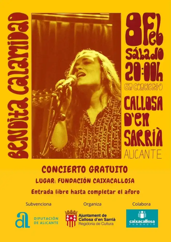 Concierto Bendita Calamidad