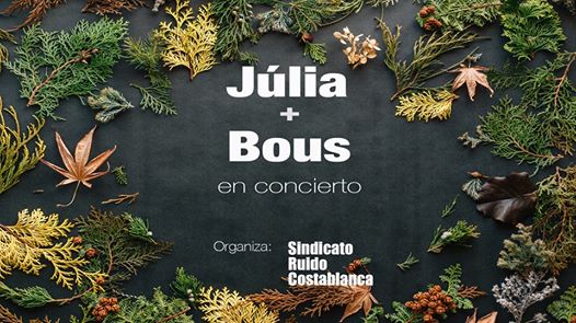Concierto de Júlia & Bous en Alicante
