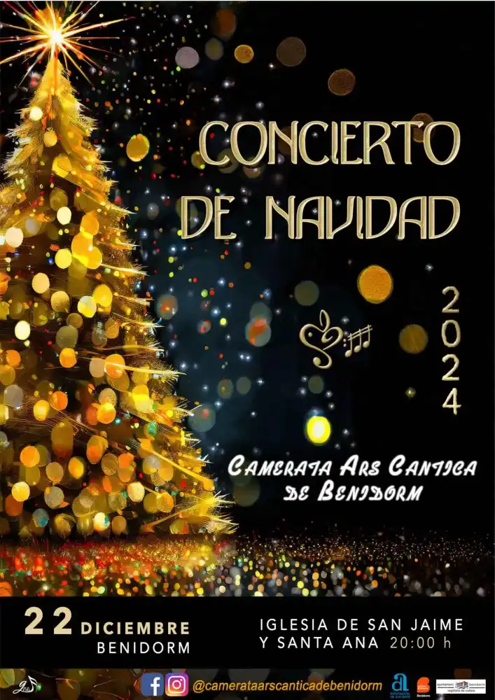 Concierto Navidad Camerata Ars Cantica 2024