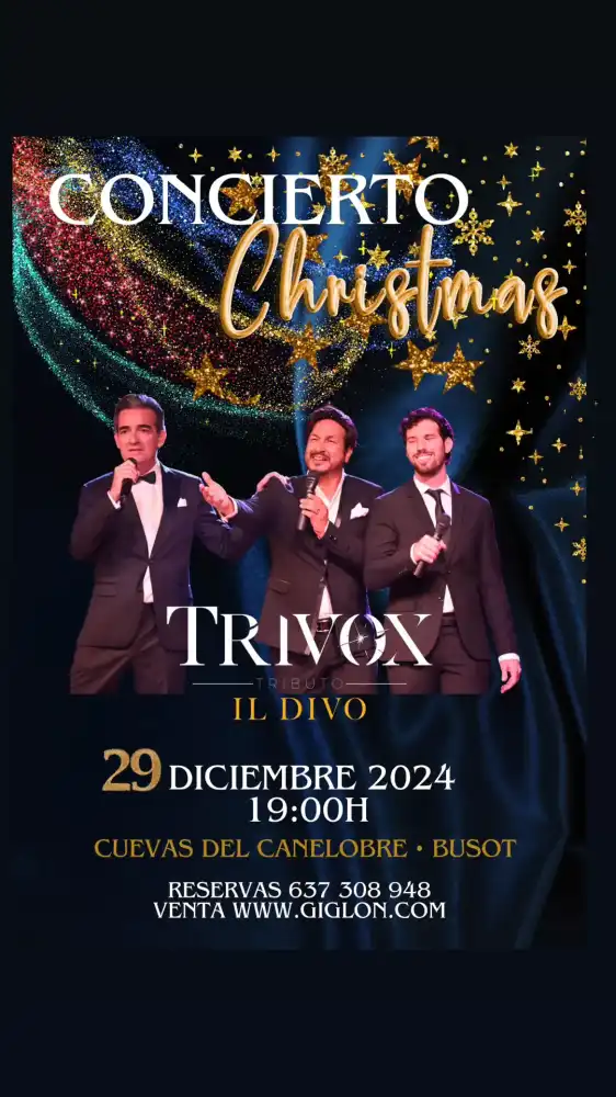 Concierto Trivox Tributo al Divo- Christmas Time