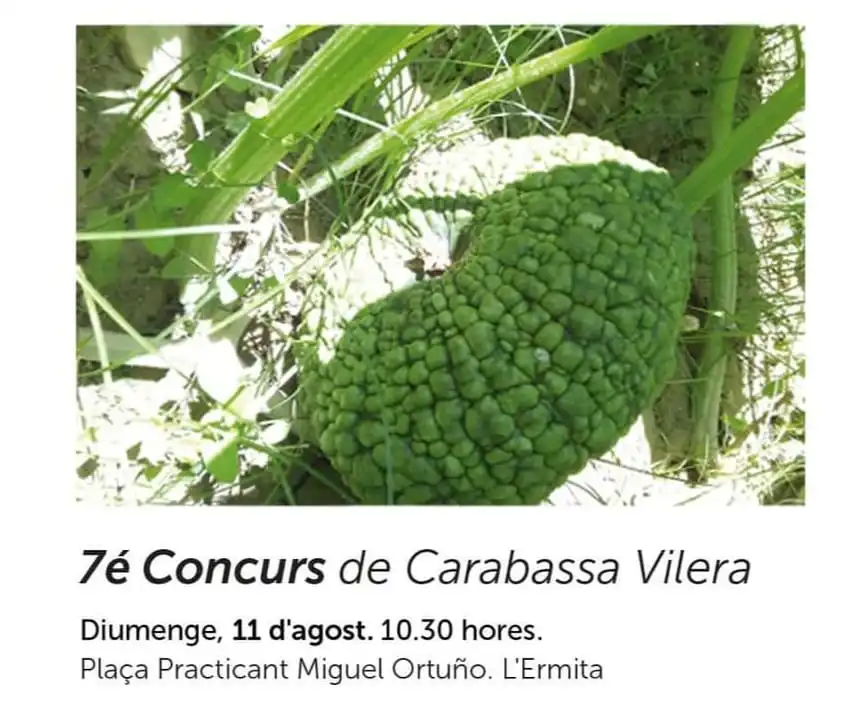 Concurso de Calabaza Vilera