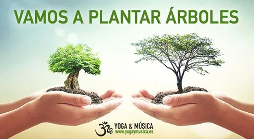 Creando un bosque para el futuro en San Juan