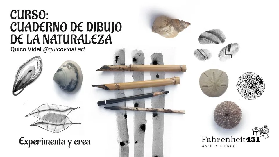 Curso: cuaderno de dibujo de naturaleza con Quico Vidal (todos los martes)