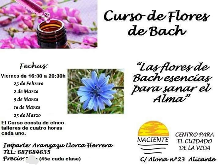 Curso De Flores De Bach
