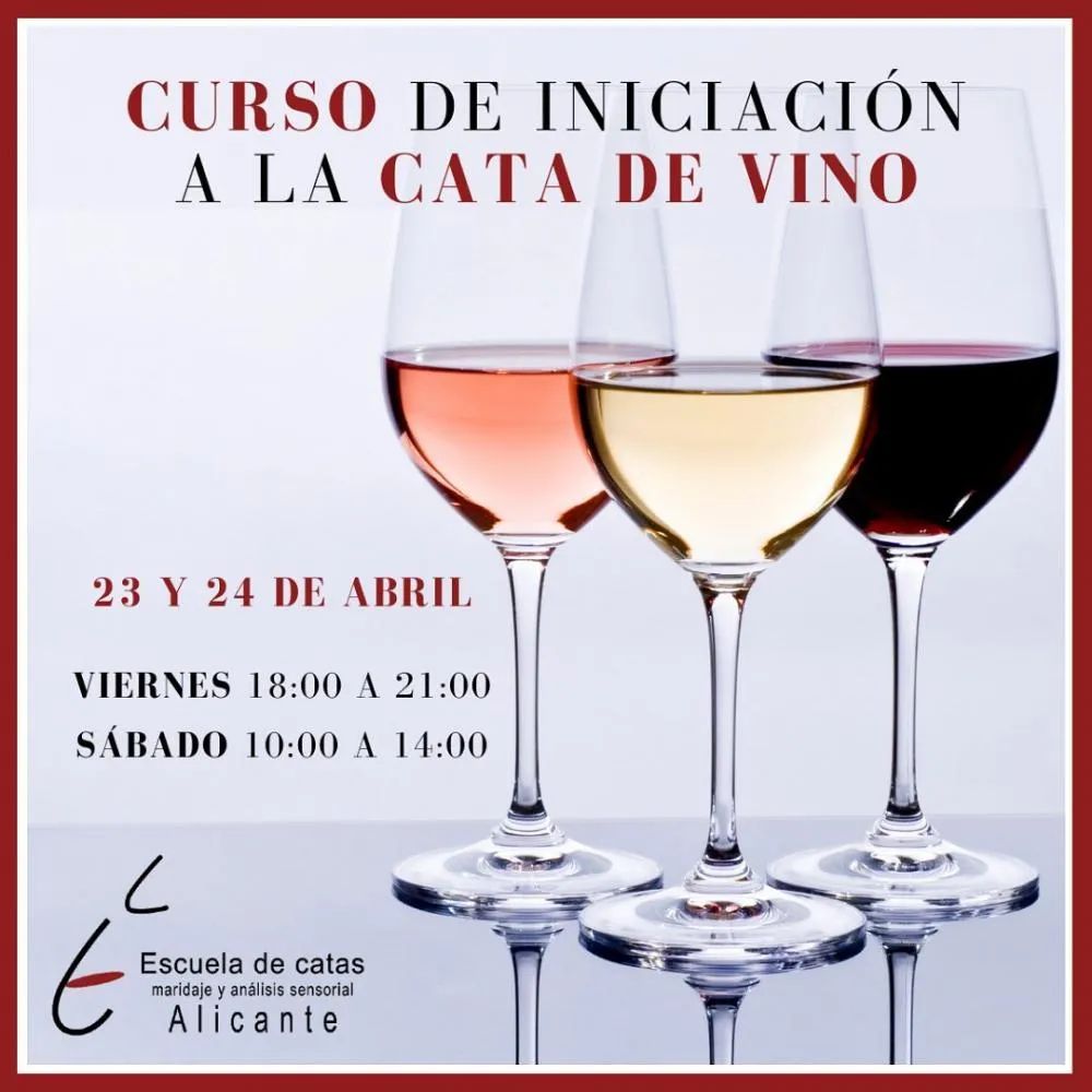 Curso de iniciación a la cata de vino