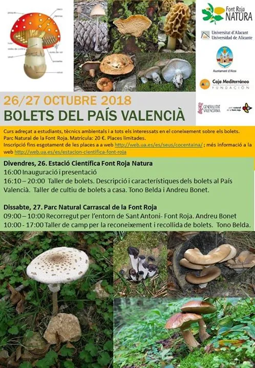Curso de setas del País Valenciano, a la Estación Científica Font Roja Natura