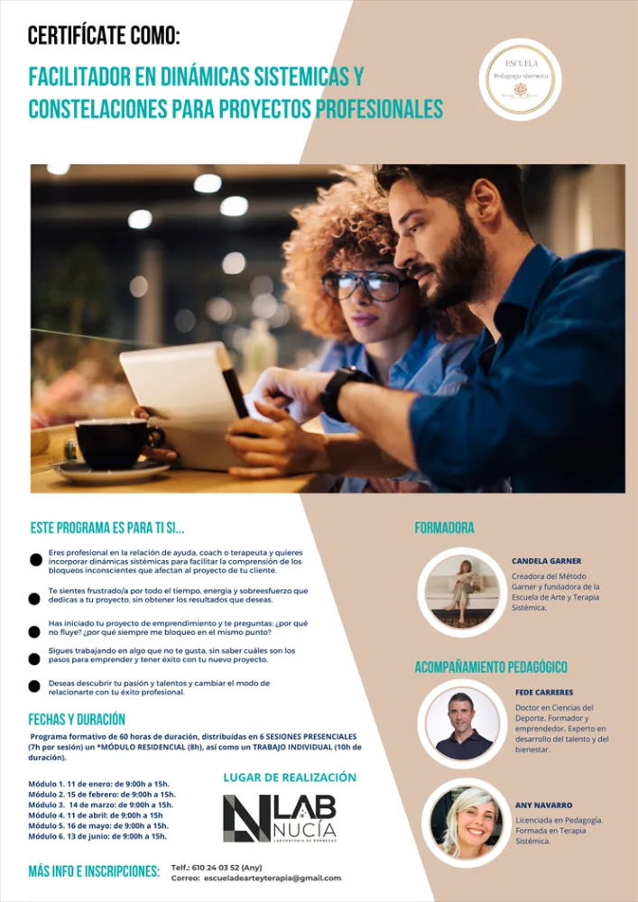 Curso Facilitador Sistémico