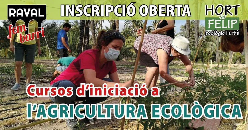 Curso iniciación agriciltura ecologia