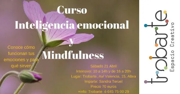 Curso Inteligencia Emociona y Mindfulness