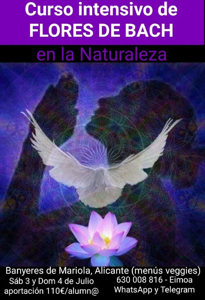 Curso intensivo de flores de bach en la montaña