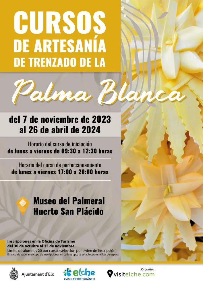 Cursos de Trenzado de Palma Blanca