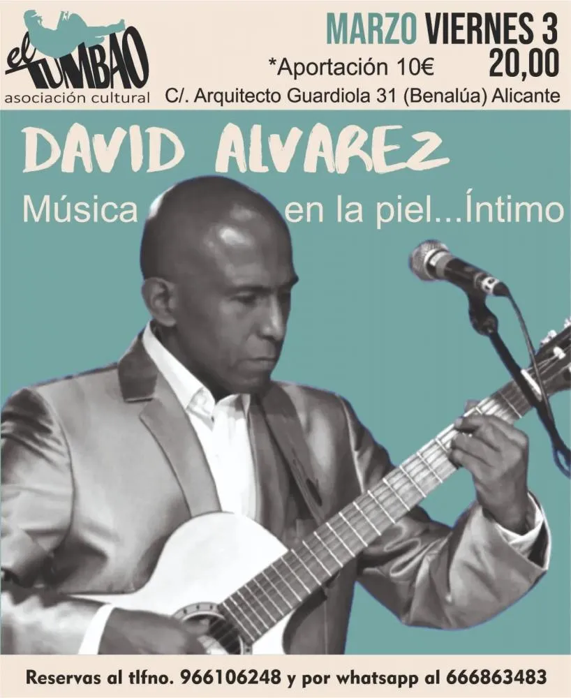 David Alvarez en Concierto