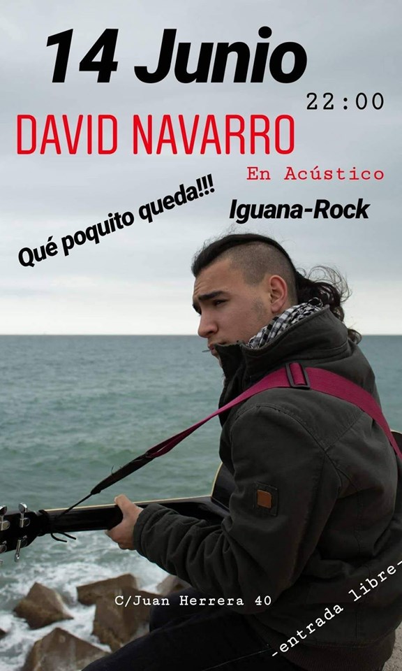 David Navarro en acústico