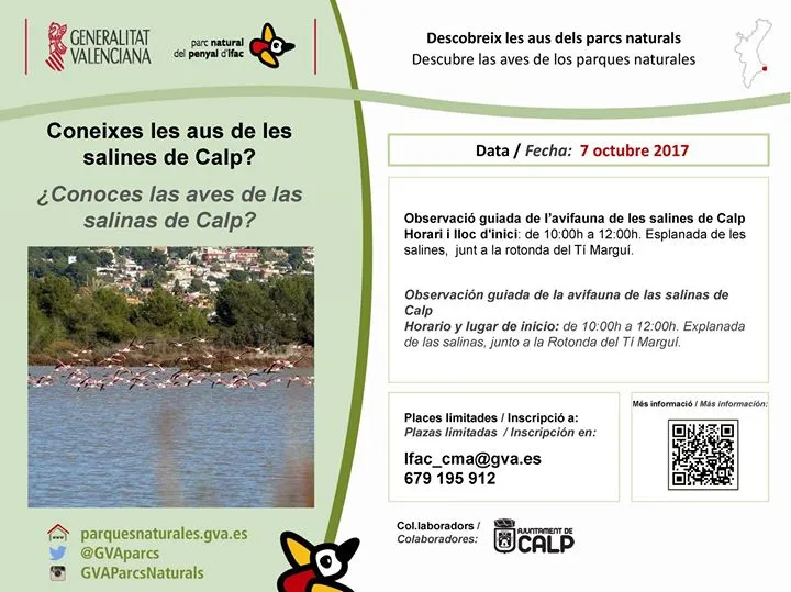 Descubre las aves de las Salinas de Calpe