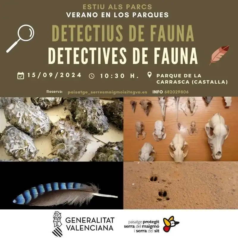 Detectives de Fauna ► Verano en los parques