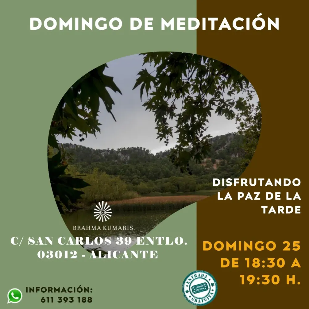 Domingo de meditación