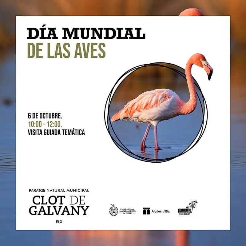 Día Mundial de las Aves en el Clot de Galvany 2024