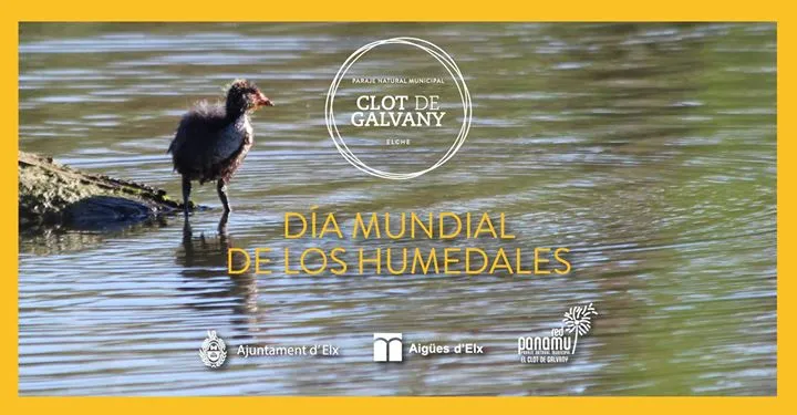 Día Mundial de los Humedales