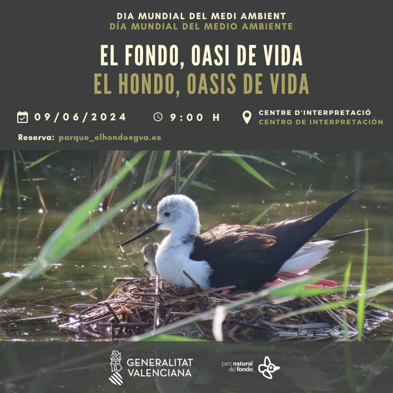 Día Mundial del Medio Ambiente en El Hondo