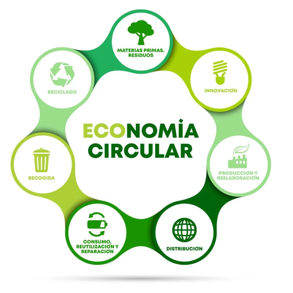 Economía Circular: la vía más humana y sostenible para las empresas