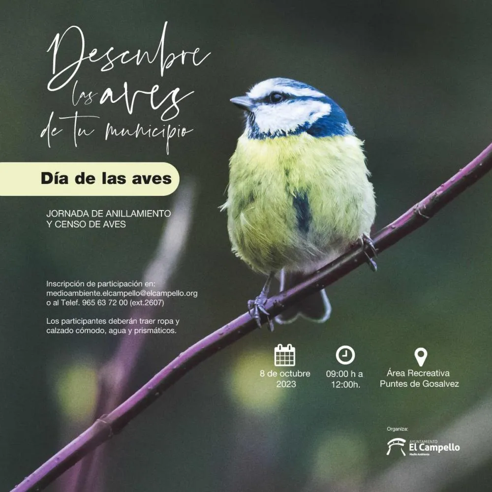 El 8 de octubre, jornada de anillamiento de aves en El Campello